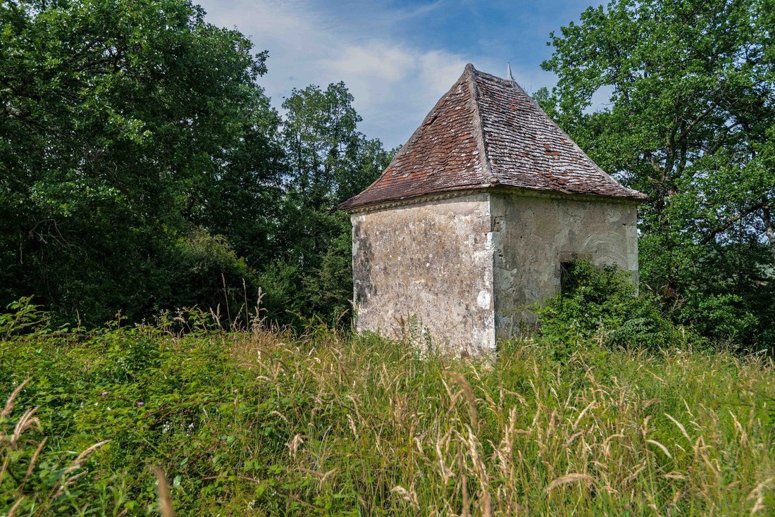 Le Marin’s Slumbering Grandeur: A 19th-Century Château Awaits Its Renaissance in Bordeaux’s Vine-Kissed Hills