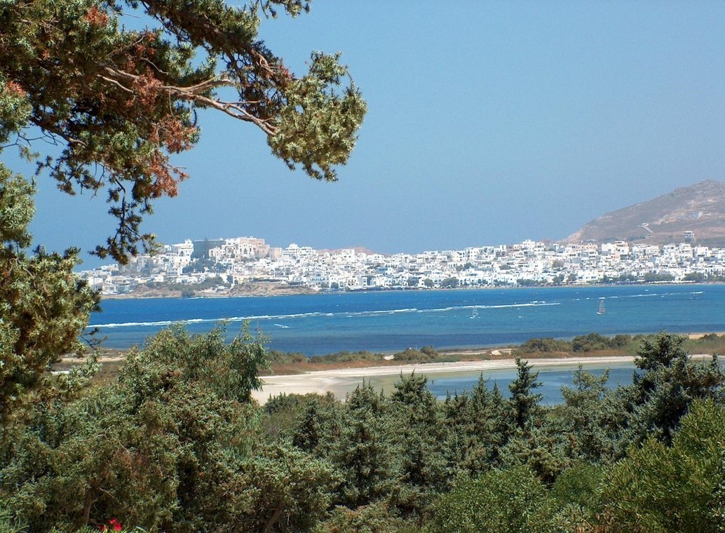 Estate in Naxos, Aegean, Greece 1 - 15451888
