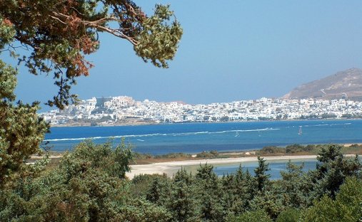 Estate in Naxos, Aegean, Greece 1