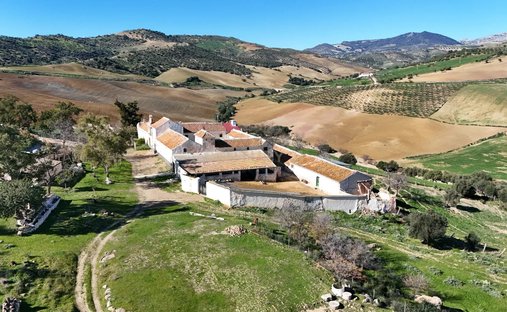 Farm Ranch in Villanueva de la Concepción, Andalusia, Spain 1