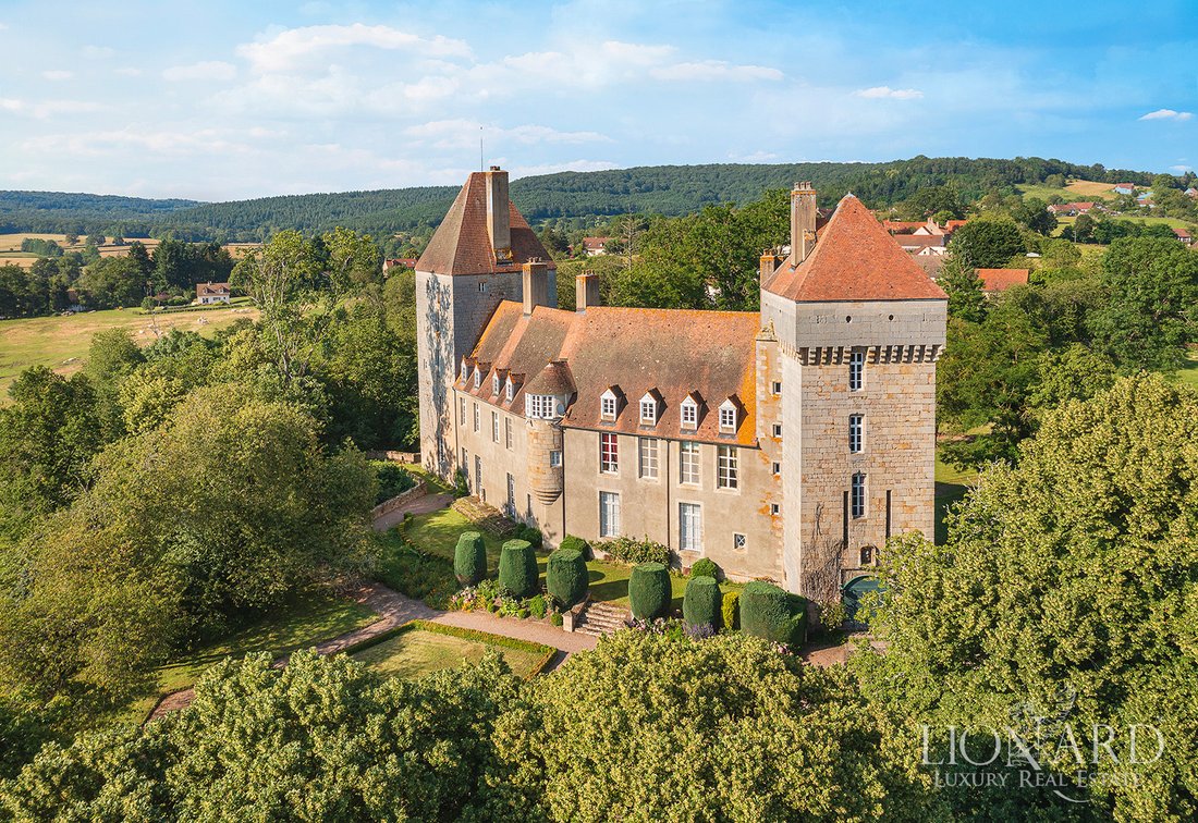 Castello a Lione, Alvernia-Rodano-Alpi, Francia 2 - 15452939