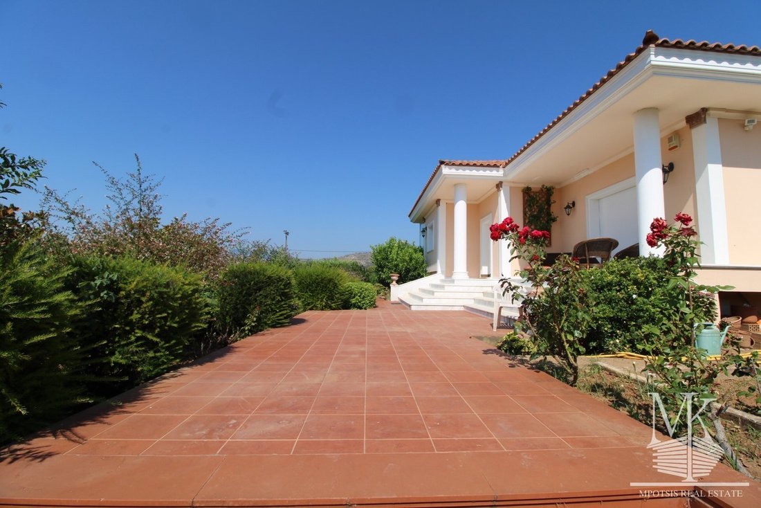 House in Oropos, Attica, Greece 5 - 15454147