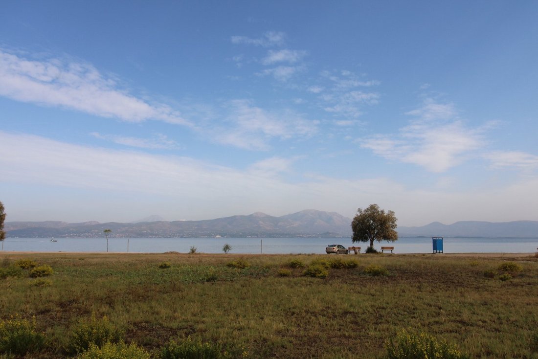 House in Oropos, Attica, Greece 5 - 15454183
