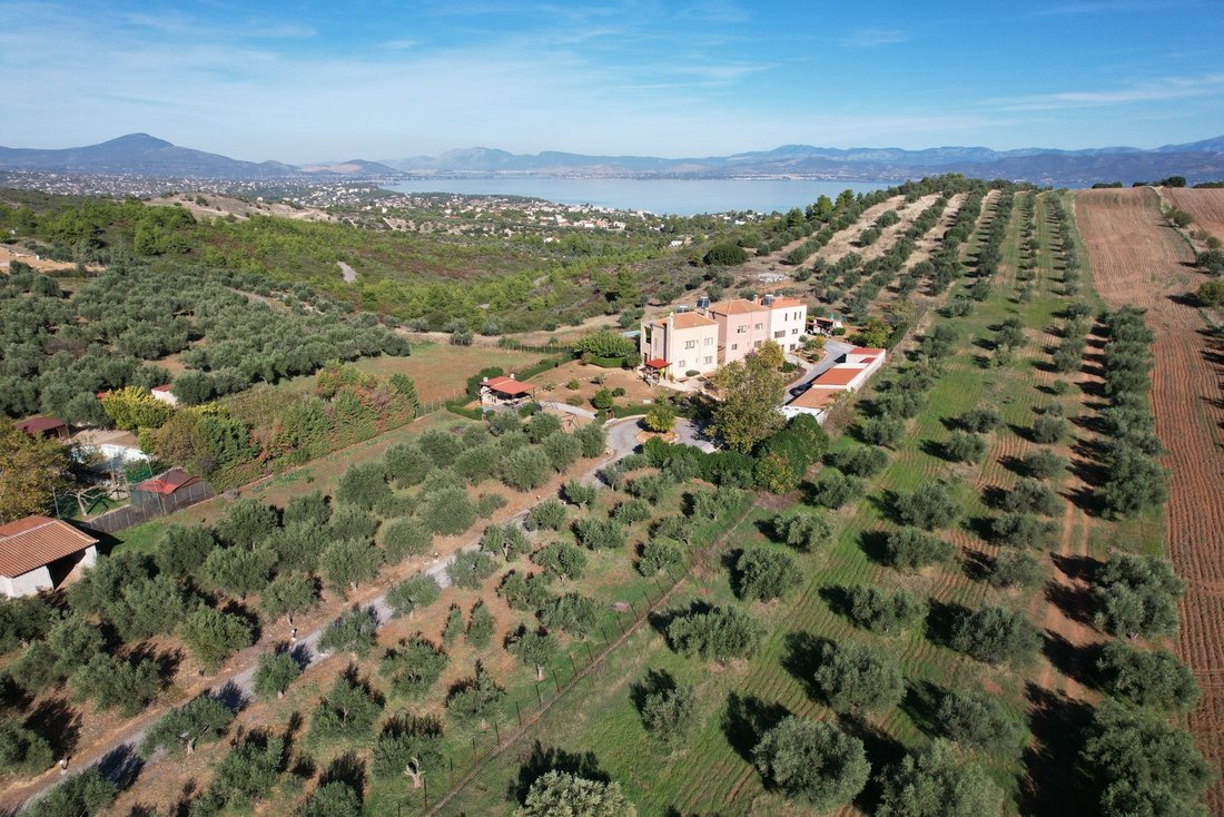 Apartment in Oropos, Attica, Greece 4 - 15454245