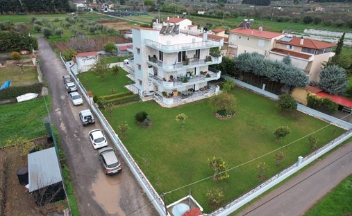 House in Oropos, Attica, Greece 1