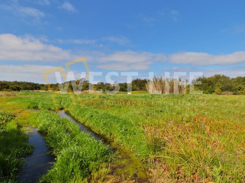 Land for sale in Torres Vedras, Portugal — €3,120,000