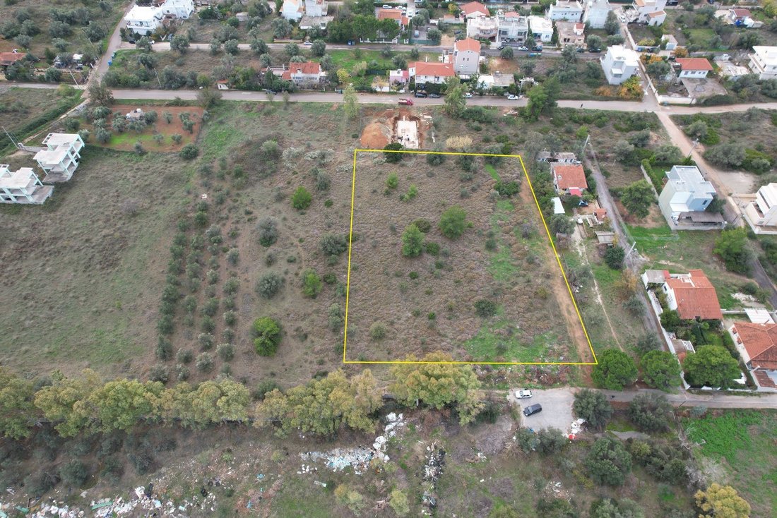 Land in Paiania, Attica, Greece 1 - 15454236