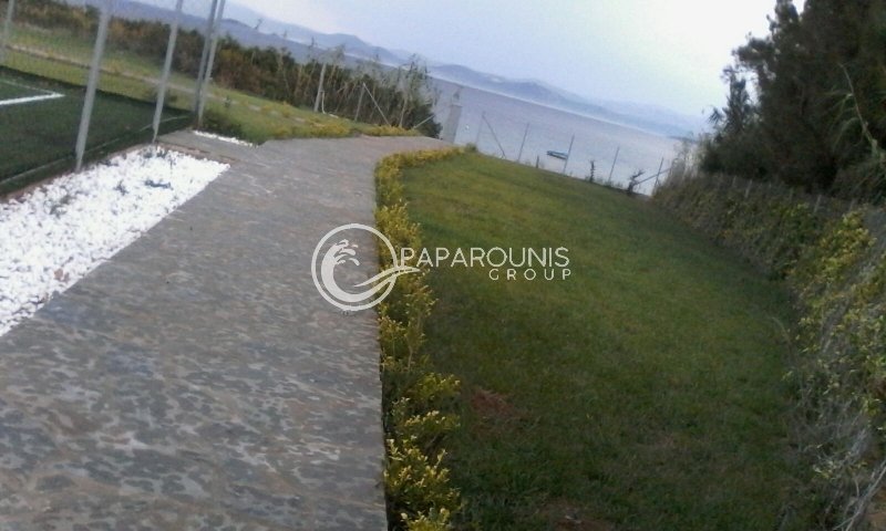 House in Dirfyon - Messapion, Thessaly and Central Greece, Greece 5 - 15449397