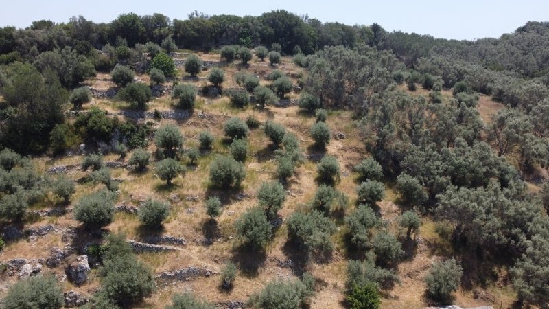 Land in Lefkada Commune, Peloponnese, Western Greece and the Ionian, Greece 3 - 15453439