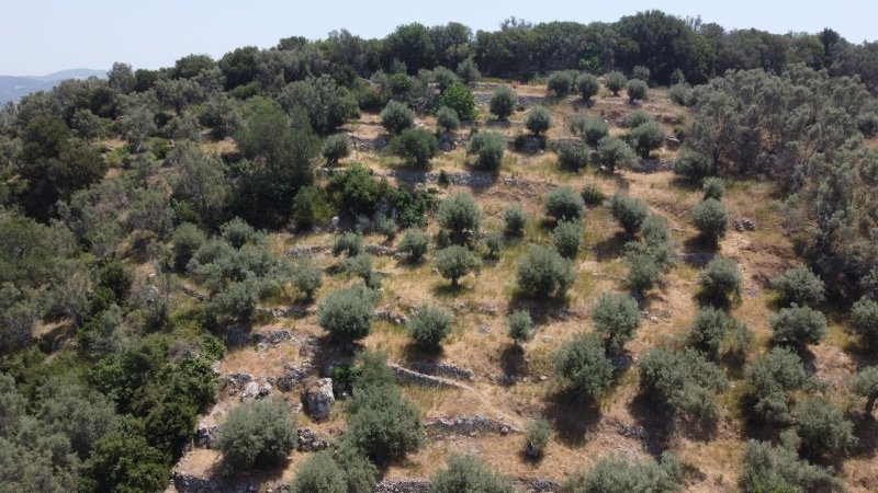 Land in Lefkada Commune, Peloponnese, Western Greece and the Ionian, Greece 4 - 15453439