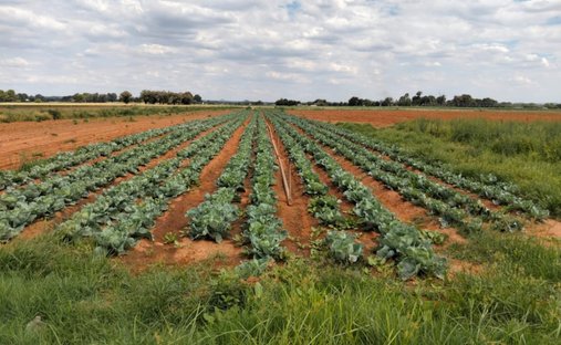 Azienda agricola a Bloemfontein, Free State, Sudafrica 1