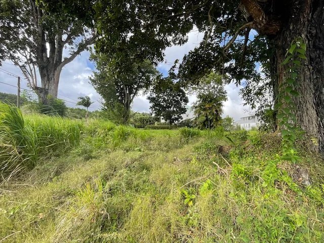 Estate in Fort-de-France, Fort-de-France, Martinique 4 - 15453502