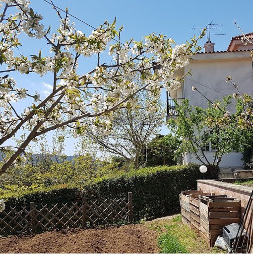 Apartment in Dionysos, Attica, Greece 3 - 15454240