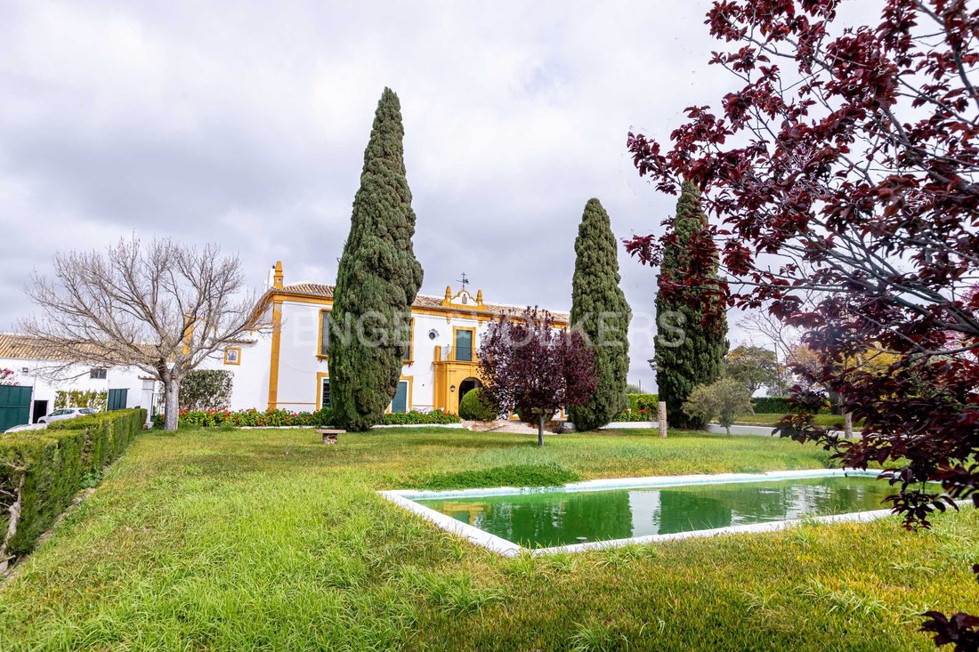 House in La Puebla de Cazalla, Andalusia, Spain 1 - 15454760