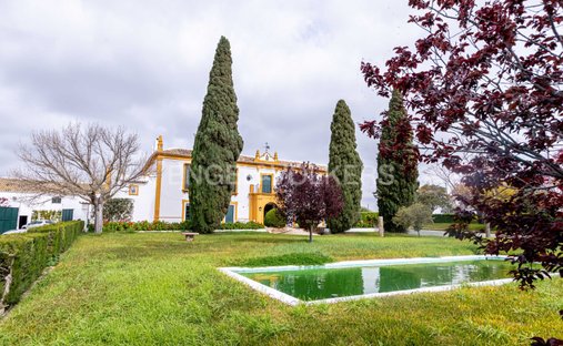 House in La Puebla de Cazalla, Andalusia, Spain 1