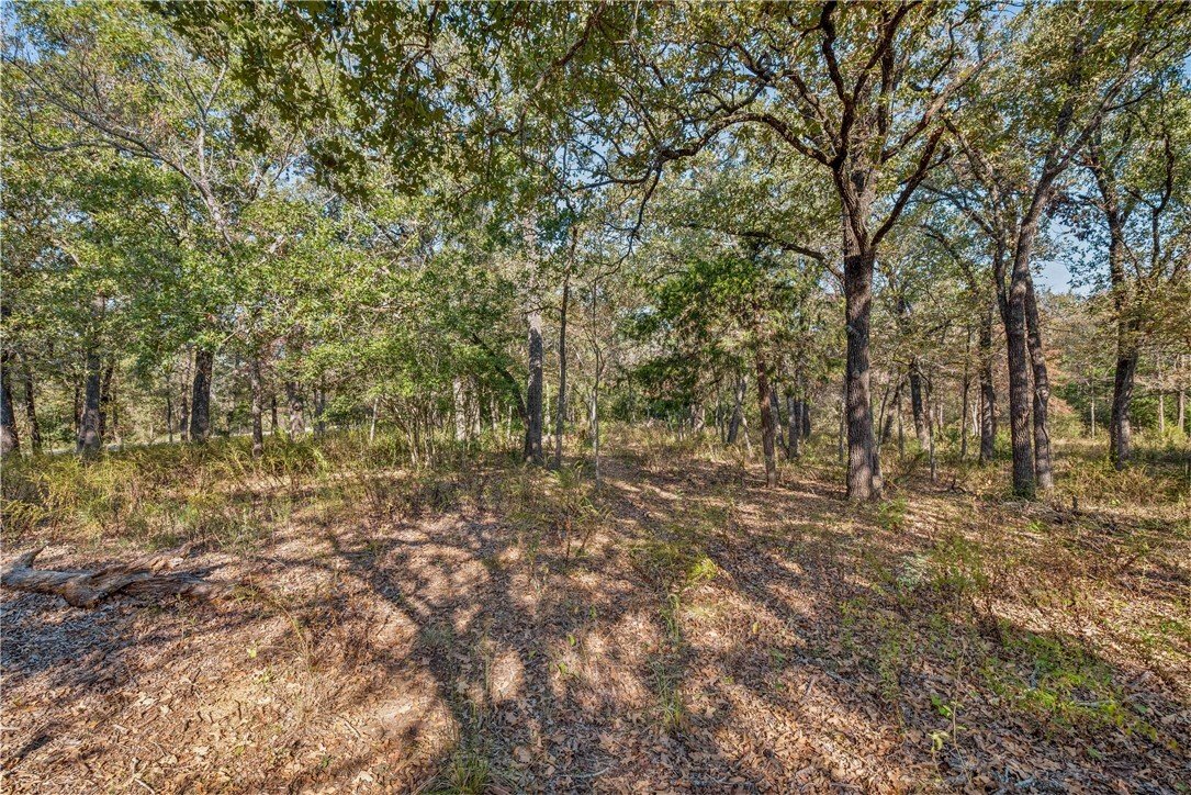 Land in Hearne, Texas, Vereinigte Staaten 4 - 15455225