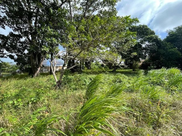 Estate in Fort-de-France, Fort-de-France, Martinique 2 - 15453502