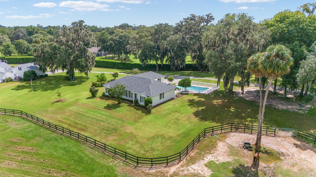 Farm Ranch in Ocala, Florida, United States 5 - 15454262