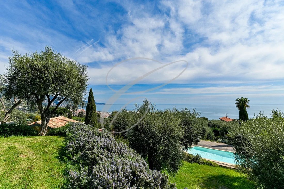 Villa in Menton, Provence-Alpes-Côte d'Azur, France 2 - 12187792