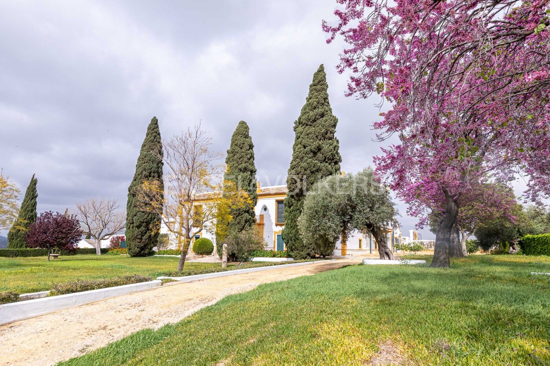 House in La Puebla de Cazalla, Andalusia, Spain 4 - 15454760