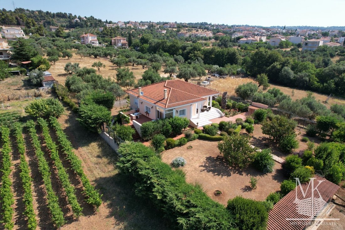 House in Oropos, Attica, Greece 4 - 15454147
