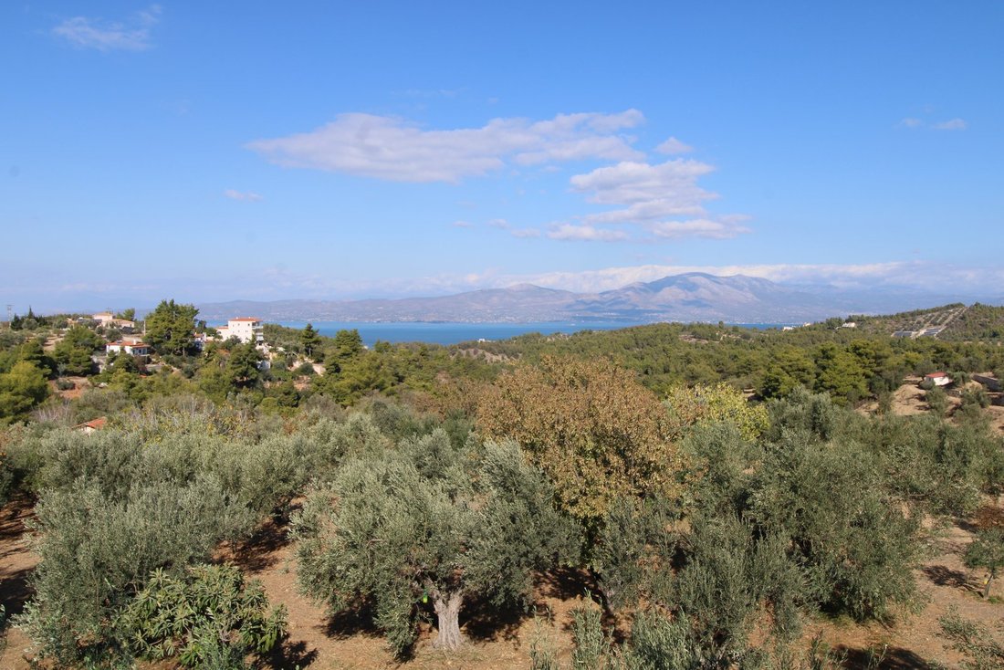 Apartment in Oropos, Attica, Greece 5 - 15454175