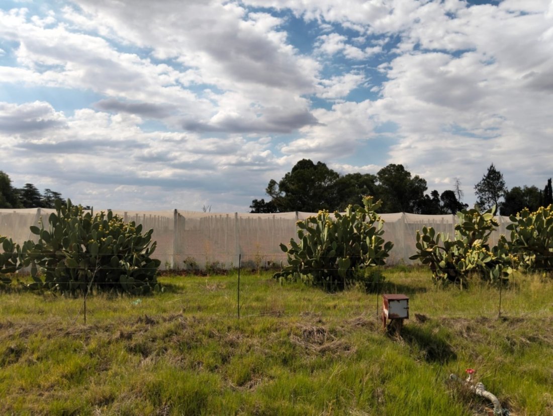 Farm Ranch in Bloemdal, Free State, South Africa 2 - 15453912