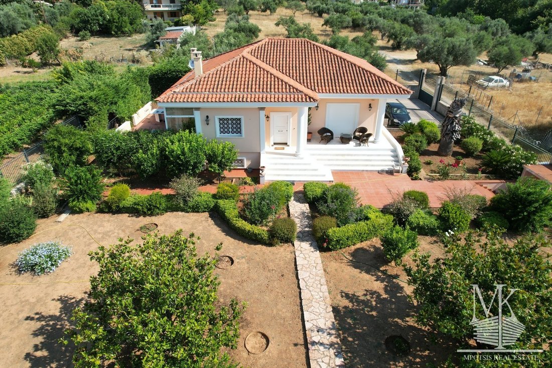 House in Oropos, Attica, Greece 2 - 15454147