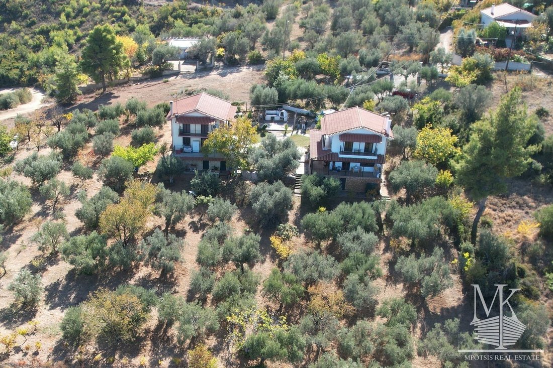 Apartment in Oropos, Attica, Greece 2 - 15454175