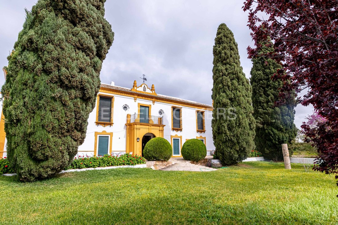 House in La Puebla de Cazalla, Andalusia, Spain 2 - 15454760