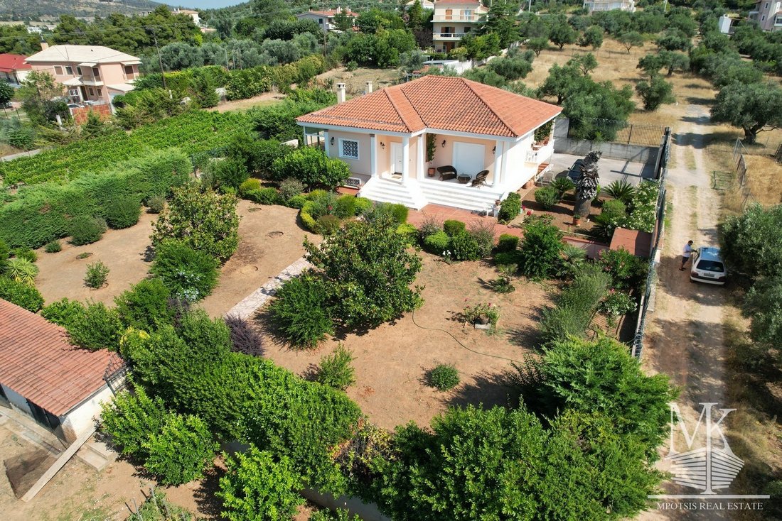 House in Oropos, Attica, Greece 1 - 15454147