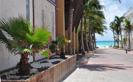 Land in Playa del Carmen, Quintana Roo, Mexico 1