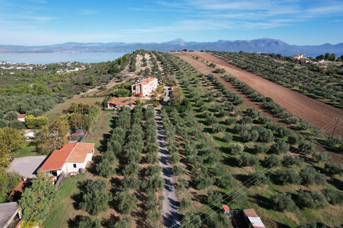 Apartment in Oropos, Attica, Greece 5 - 15454245