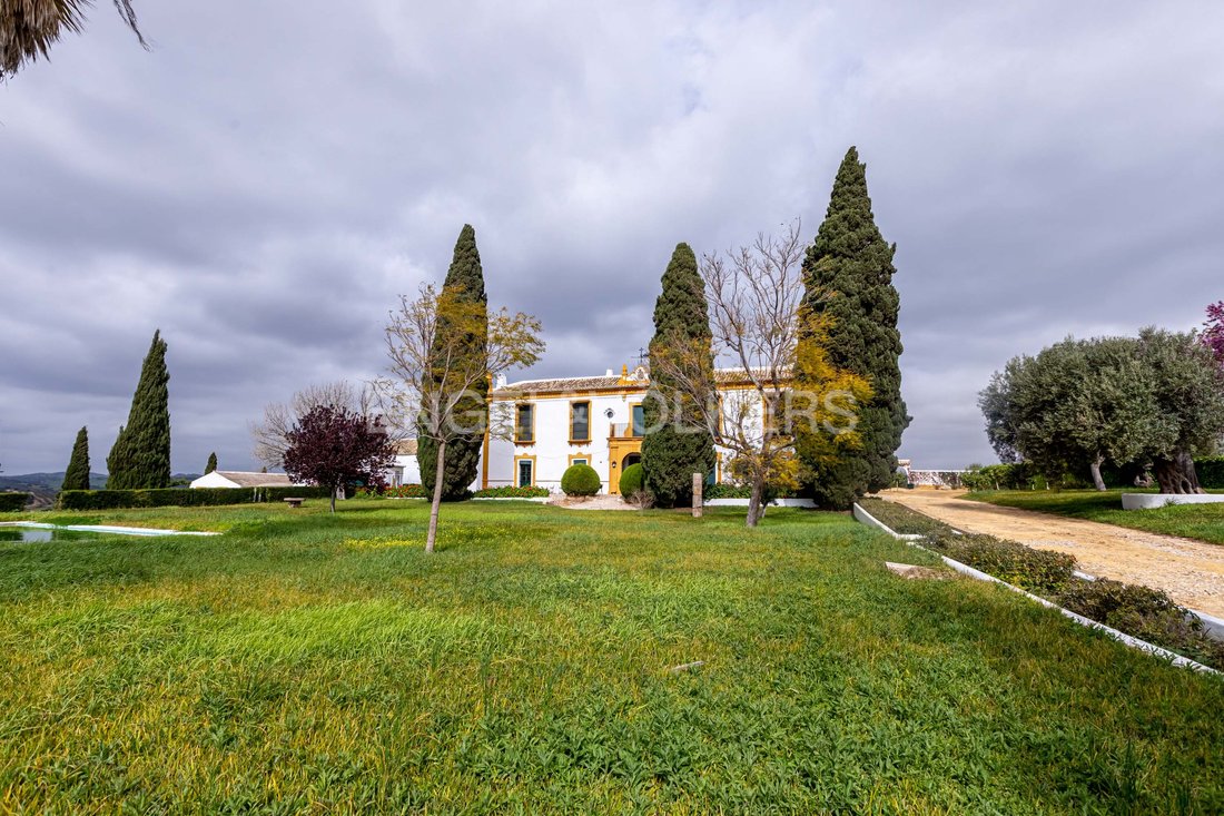 House in La Puebla de Cazalla, Andalusia, Spain 3 - 15454760