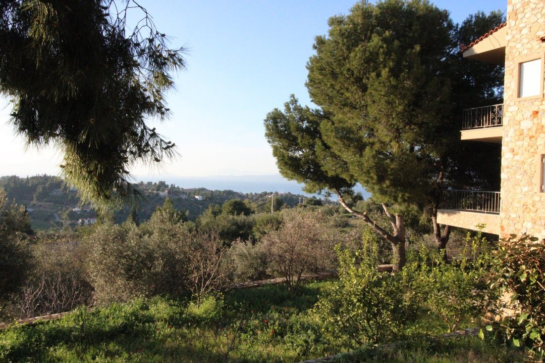 Apartment in Oropos, Attica, Greece 3 - 15454243