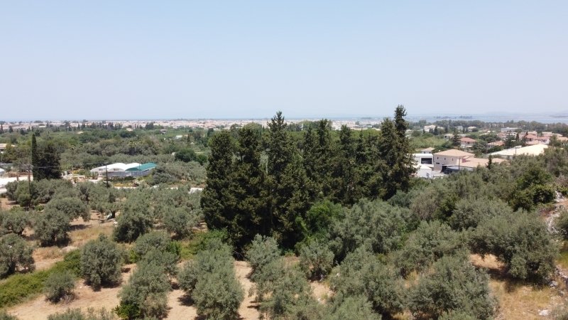 Land in Lefkada Commune, Peloponnese, Western Greece and the Ionian, Greece 2 - 15453439