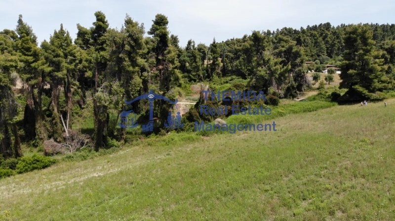 Land in Pallini Municipal Unit, Macedonia and Thrace, Greece 3 - 15453607