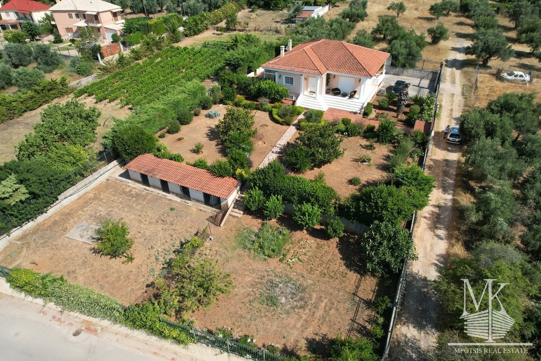 House in Oropos, Attica, Greece 3 - 15454147