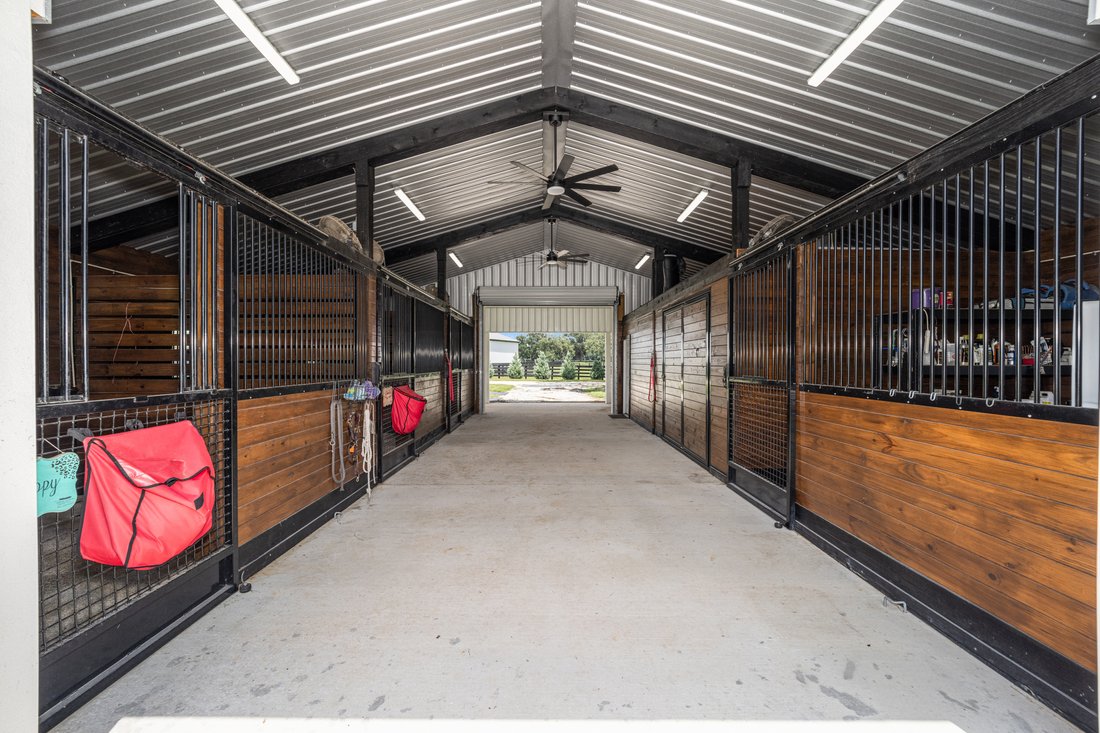 Farm Ranch in Ocala, Florida, United States 4 - 15454078