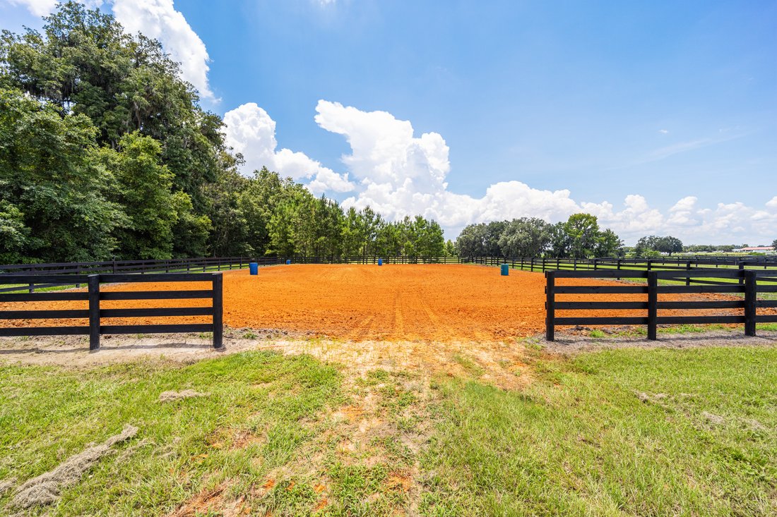 Farm Ranch in Ocala, Florida, United States 2 - 15454078