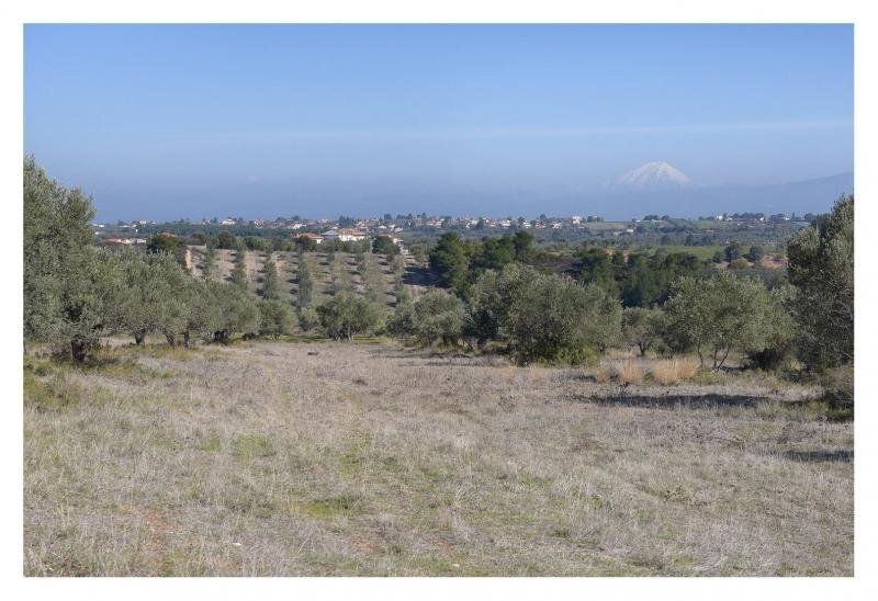 Land in Oropos, Attica, Greece 1 - 15456272