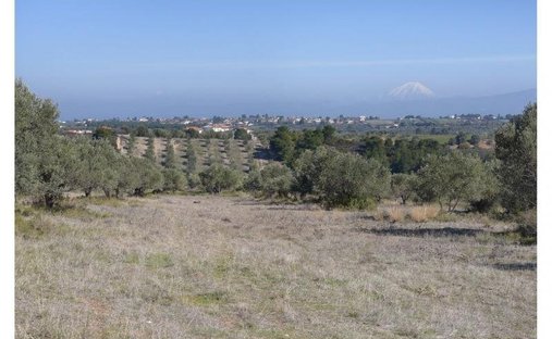 Land in Oropos, Attica, Greece 1