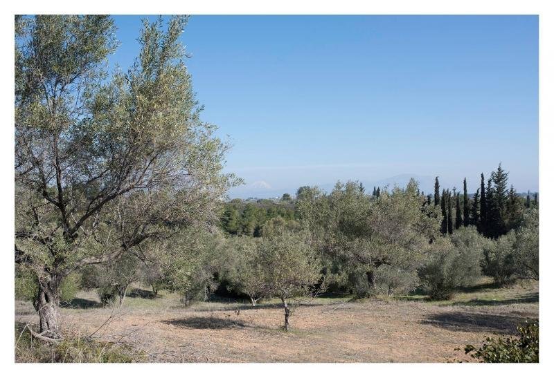 Land in Oropos, Attica, Greece 5 - 15456272