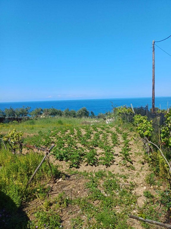 Land in Meliteieis, Peloponnese, Western Greece and the Ionian, Greece 4 - 15456255