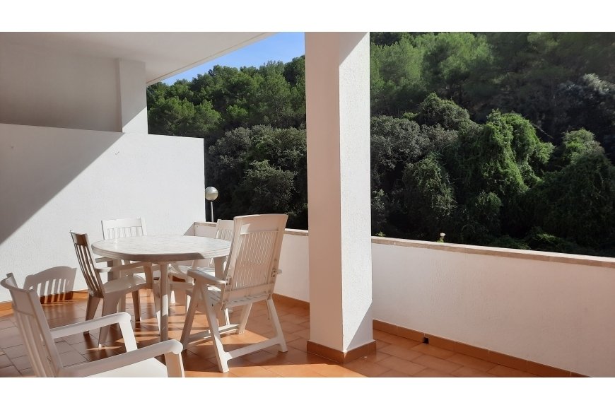 Villa in Pollenca, Balearic Islands, Spain 3 - 15456835