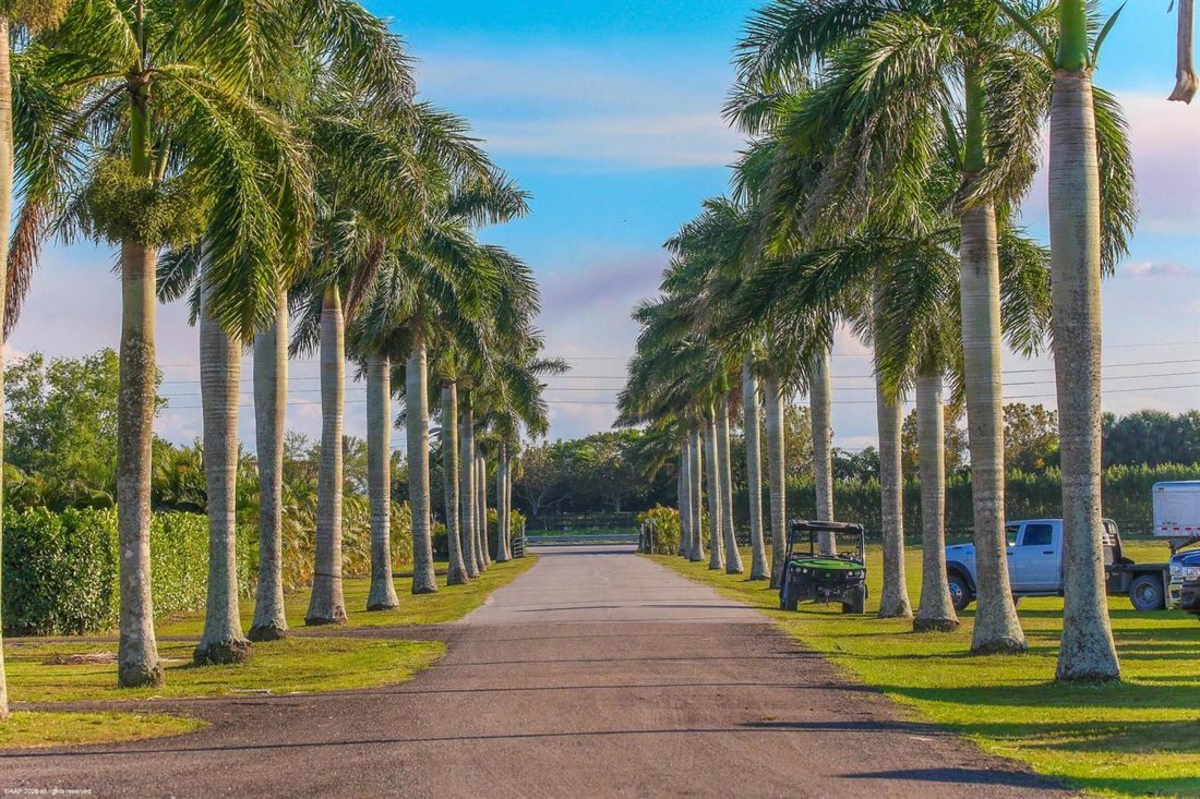 Altro a Wellington, Florida, Stati Uniti 5 - 15459175