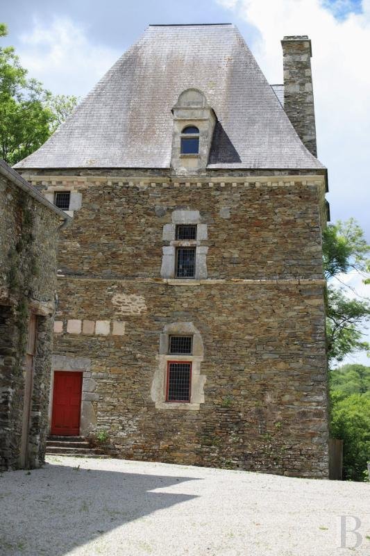 Castle in La Dollée-L'Enclos, Saint-Lo, France 3 - 14317979