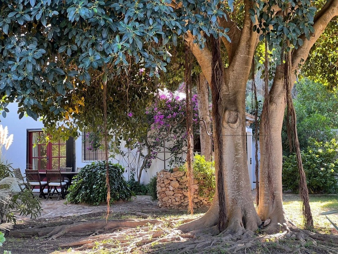 Finca à Santa Eulària des Riu, Îles Baléares, Espagne 2 - 15456728