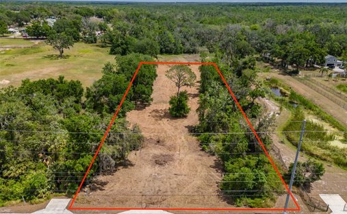 Land in Valrico, Florida, United States 1