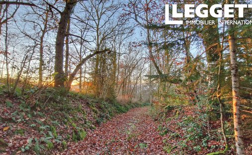 A 19th Century Manor House And Outbuildings, In Almost 3 Hectares Of Grounds, On The Edge Of